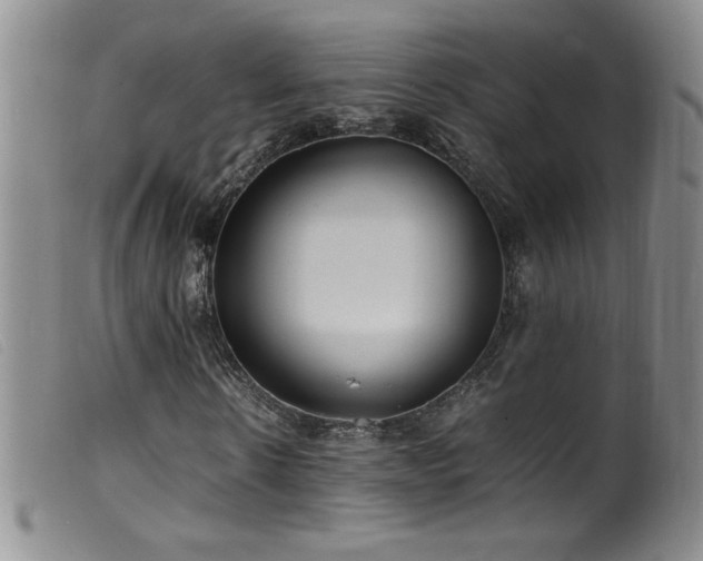 X0000099550914200805161448
