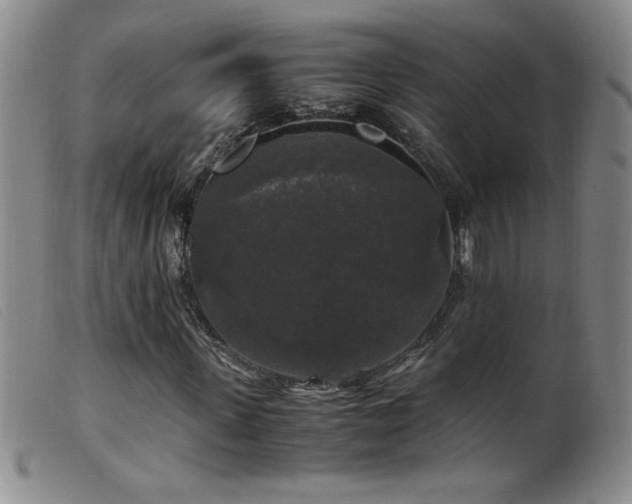 X0000099550915200805161448