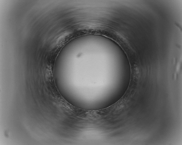 X0000099550918200805161448