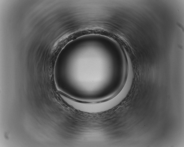 X0000099550920200805161448