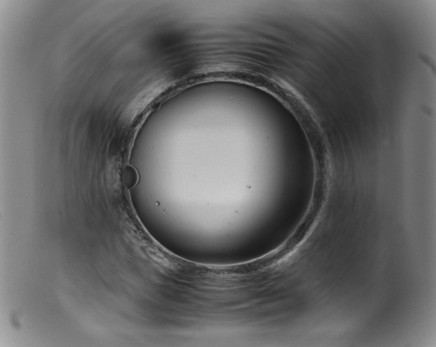 X0000099550921200805161448