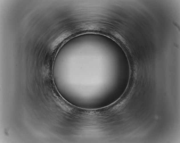 X0000099550922200805161448