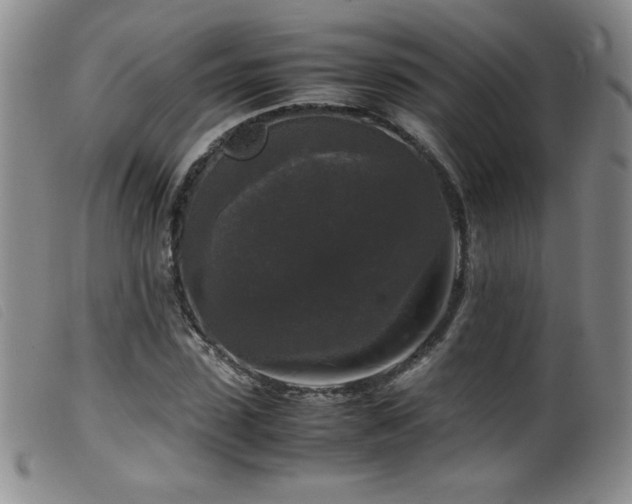 X0000099550923200805161448