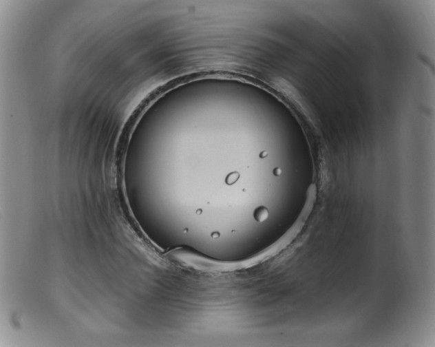 X0000099550924200805161448