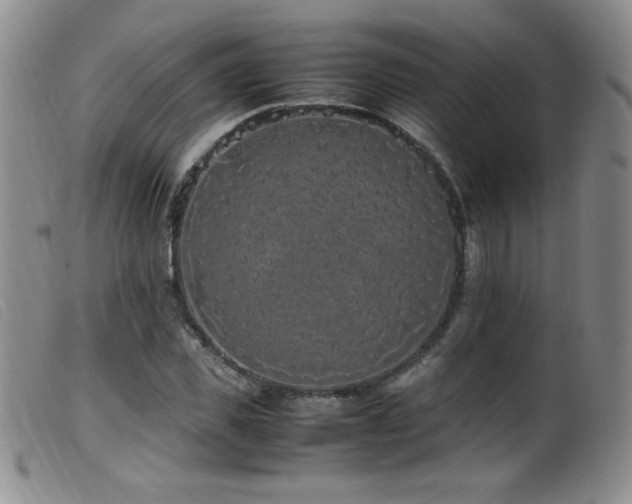 X0000099550925200805161448