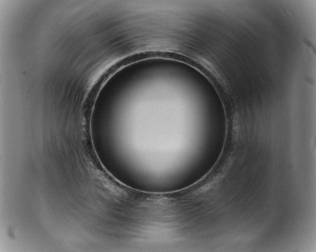 X0000099550926200805161448