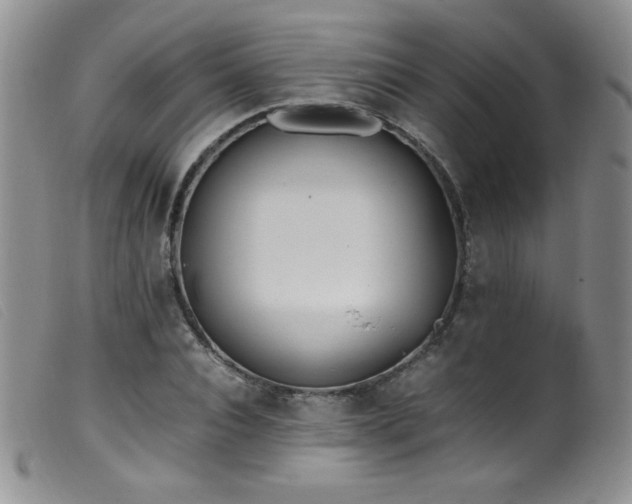 X0000099550928200805161448