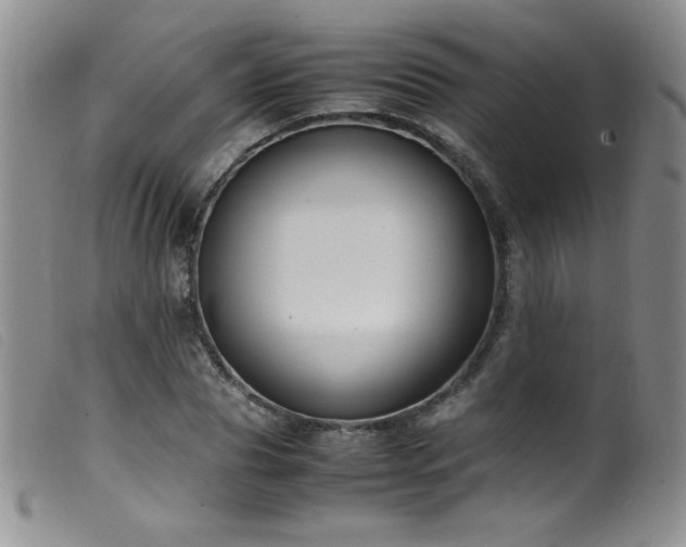 X0000099550929200805161448