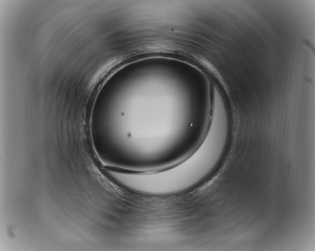 X0000099550930200805161448