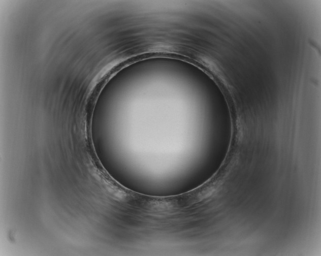 X0000099550931200805161448