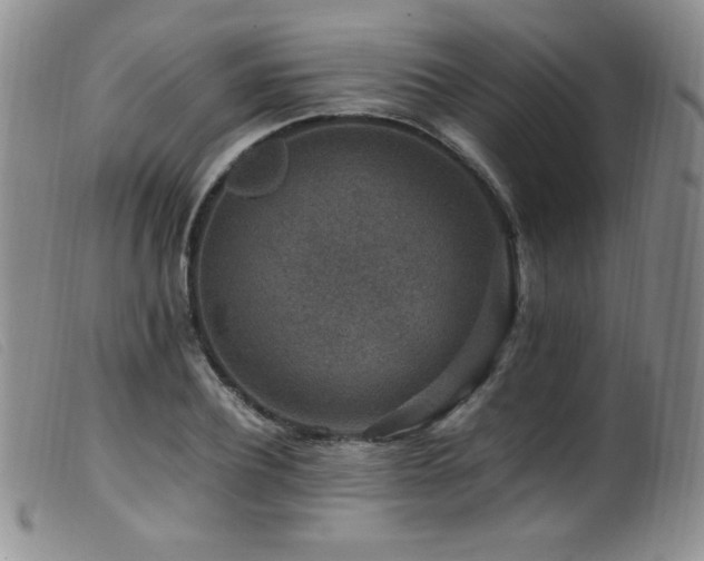 X0000099550932200805161448