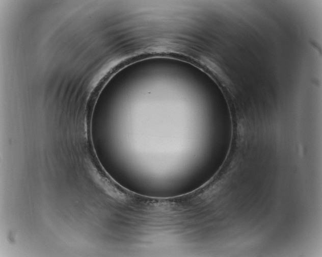 X0000099550934200805161448
