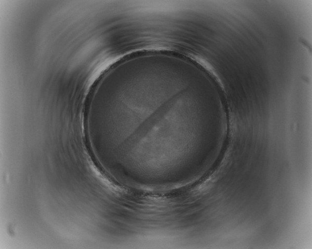 X0000099550935200805161448
