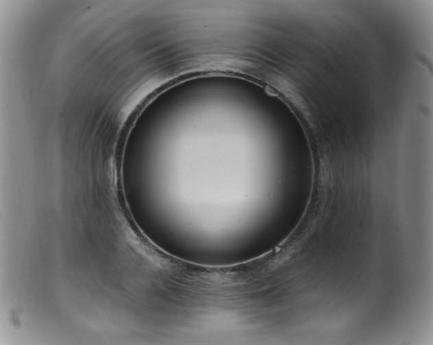 X0000099550936200805161448