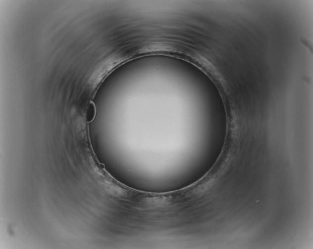 X0000099550937200805161448