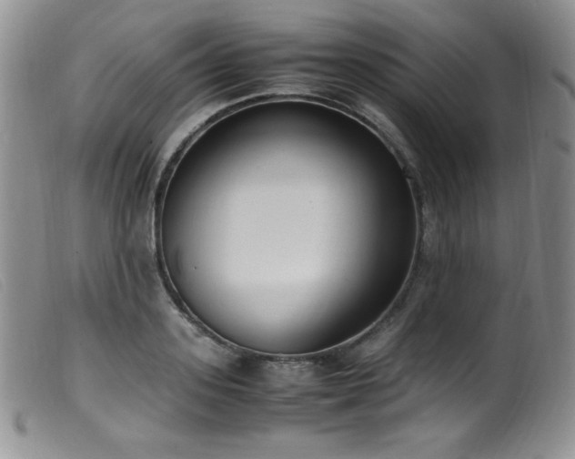 X0000099550939200805161448