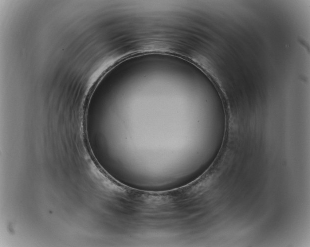 X0000099550941200805161448