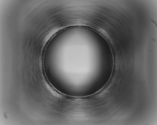 X0000099550942200805161448