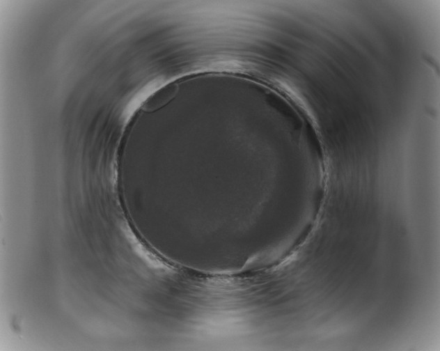 X0000099550944200805161448