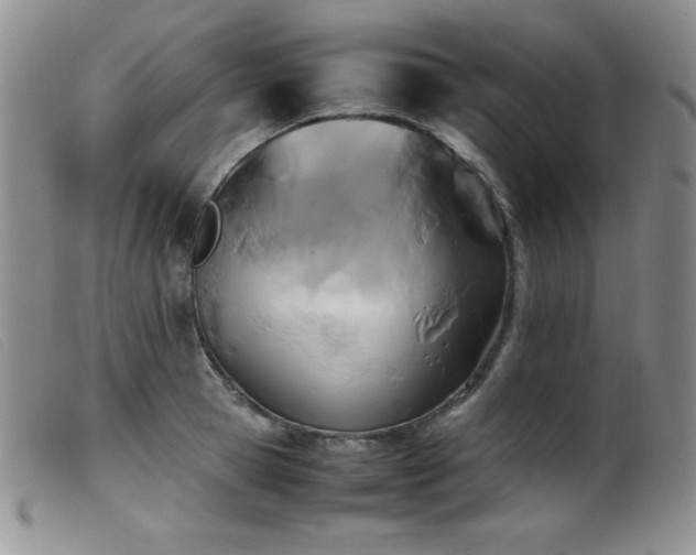 X0000099550945200805161448