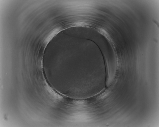 X0000099550946200805161448