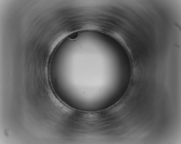X0000099550947200805161448