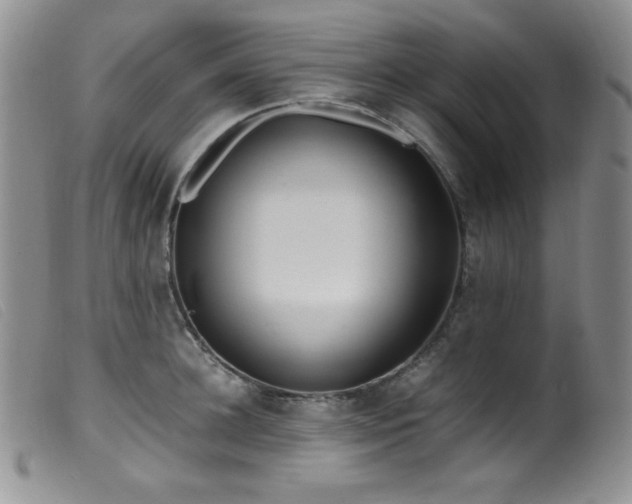 X0000099550948200805161448