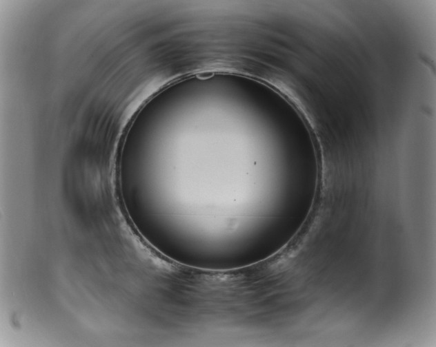 X0000099550949200805161448