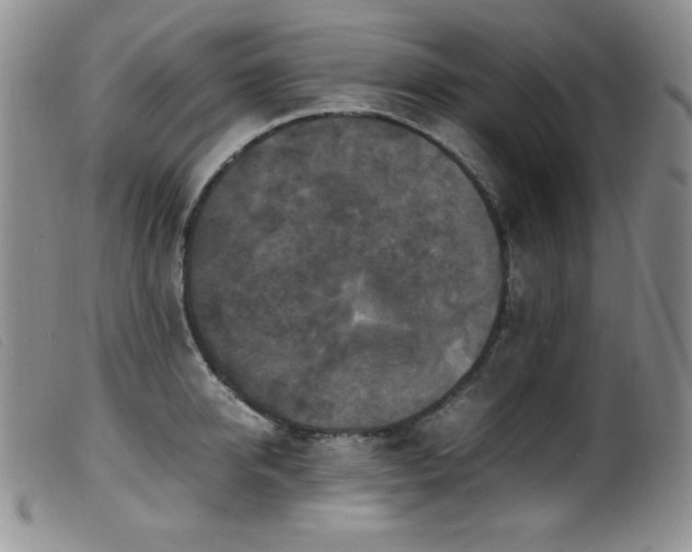 X0000099550950200805161448