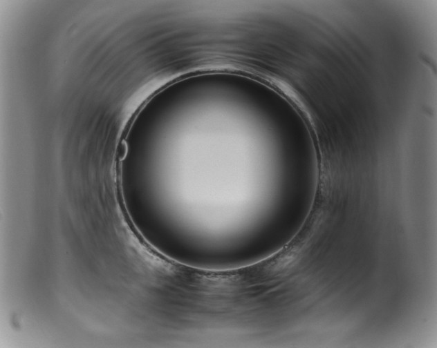X0000099550951200805161448