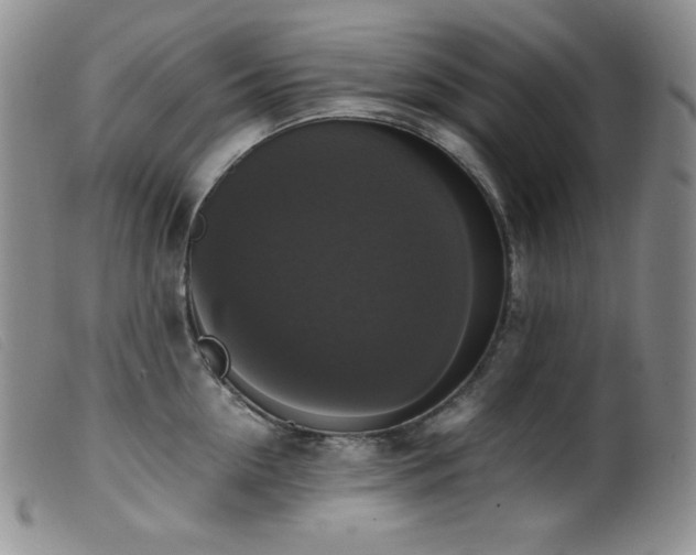 X0000099550954200805161448