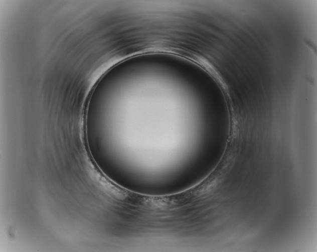 X0000099550955200805161448