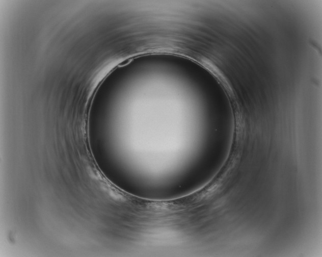 X0000099550956200805161448