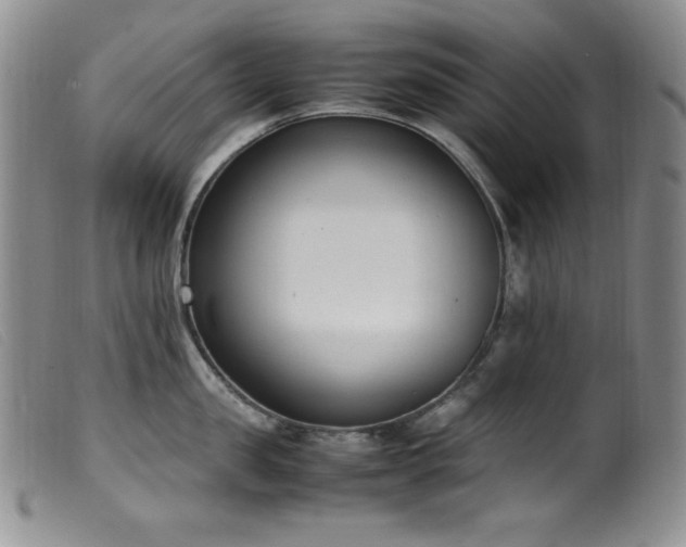X0000099550957200805161448