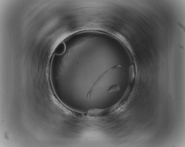 X0000099550958200805161448