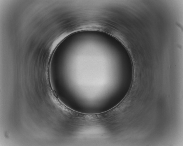 X0000099550960200805161448