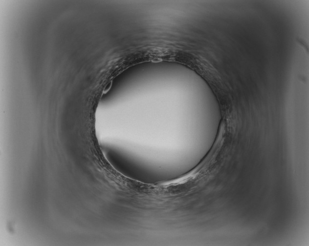 X0000099550961200805161448