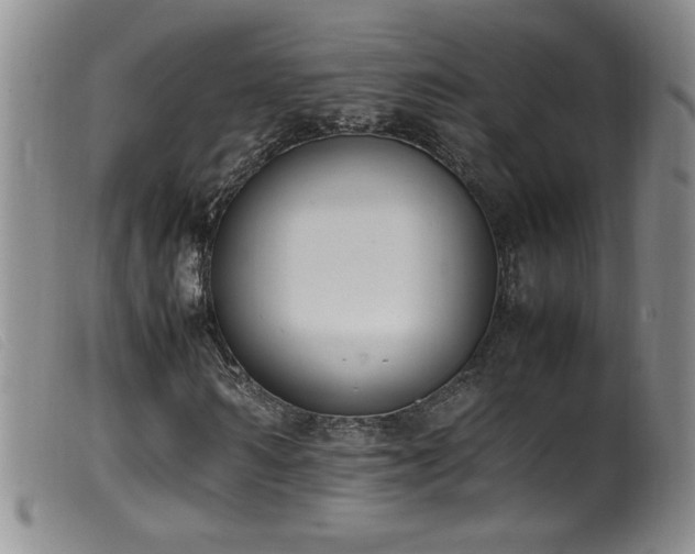X0000099550962200805161448
