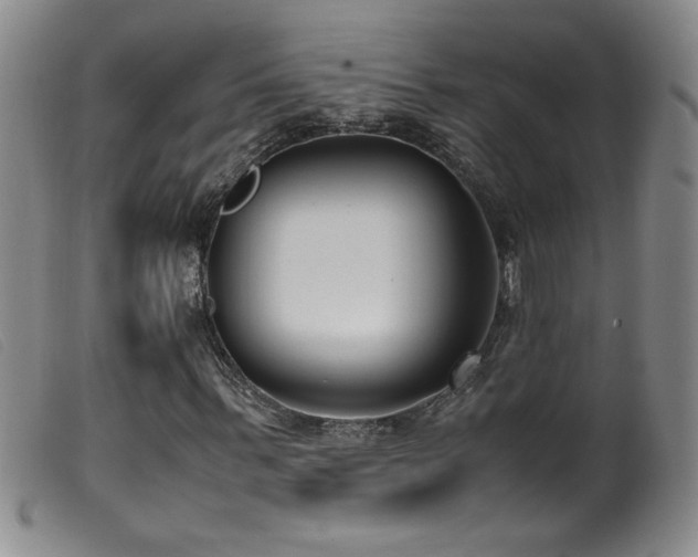 X0000099550963200805161448
