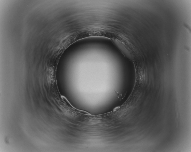 X0000099550964200805161448