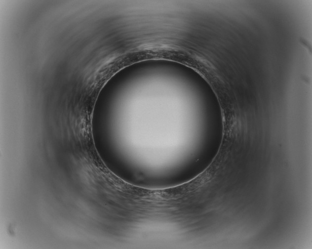 X0000099550966200805161448