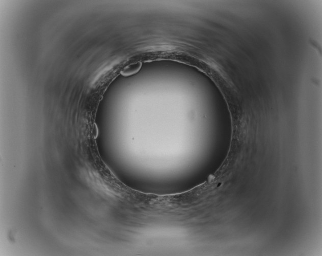 X0000099550967200805161448