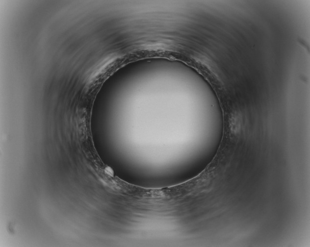 X0000099550968200805161448