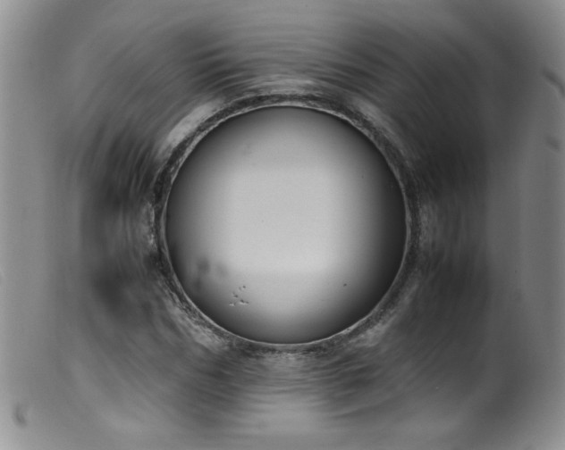 X0000099550970200805161447