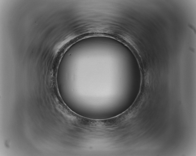 X0000099550971200805161447