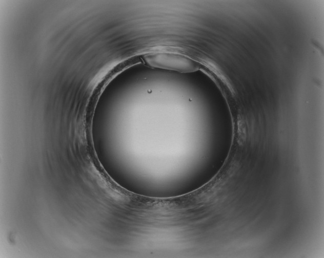 X0000099550972200805161447