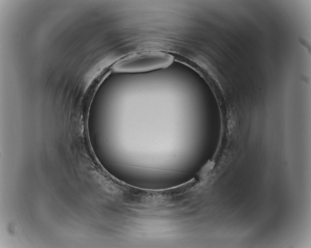 X0000099550973200805161447