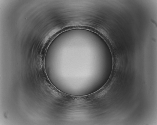 X0000099550974200805161447