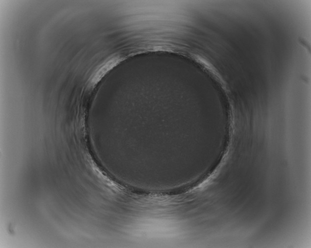 X0000099550977200805161447