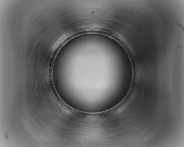 X0000099550978200805161447
